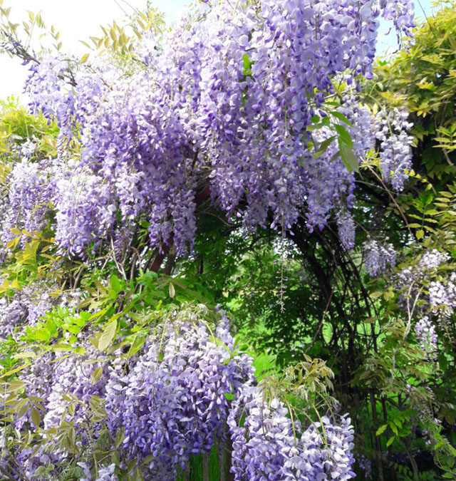 Aan de slag met de tuin
