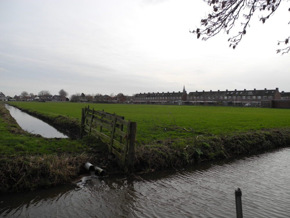 Woningbouw in weiland?